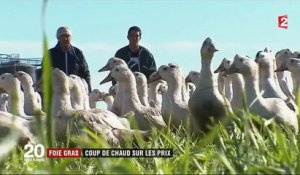 Foie gras : coup de chaud sur les prix