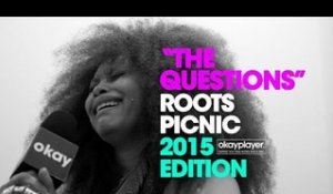 Roots Picnic Interviews (The Questions) 2015