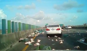 Quand un camion transportant des milliers de poulets se renverse sur l'autoroute! Oups