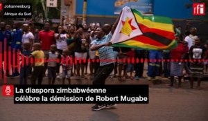 Zimbabwe: en Afrique du Sud, la diaspora célèbre la démission de Robert Mugabe