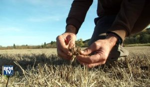 Dans le Gard, la sécheresse pourrait priver d'eau des habitants