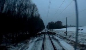 Ce train russe croise un troupeau de biche en pleine voie ferrée... Chaud