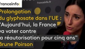 Prolongation du glyphosate dans l'UE : "Aujourd'hui, la France va voter contre la réautorisation pour cinq ans" , annonce Brune Poirson