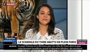 EXCLU - L'association de défense des animaux PETA demande à France 2 de cesser d'utiliser des tigres dans "Fort Boyard"