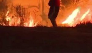 Incendies en Californie: un homme sauve un lapin du brasier