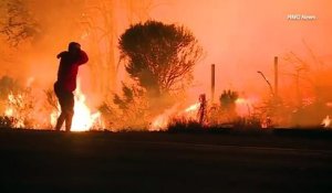 Californie : fuyant les flammes, il s'arrête pour sauver un lapin