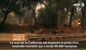 Pas d'accalmie pour l'incendie monstre en Californie
