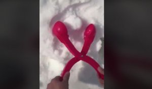 La pince à boule de neige