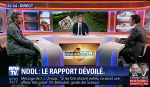 Notre-Dame-des-Landes: Emmanuel  Macron doit trancher (2/2)