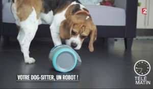 Nouveau - Votre dog-sitter, un robot !