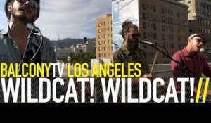 WILDCAT! WILDCAT! - CIRCUT BREAKER (BalconyTV)