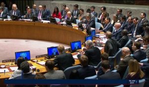 Conseil de sécurité de l'ONU: les États-Unis opposent leur veto