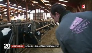 Agriculture : des aides européennes menacées ?