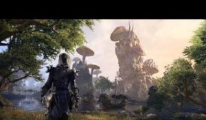 THE ELDER SCROLLS ONLINE : Morrowind - Un retour nostalgique très attendu !