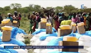 Soudan du Sud : un cessez-le-feu signé