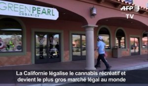 Ça plane pour la marijuana récréative en Californie