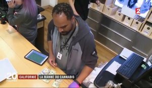 Californie : la manne du cannabis