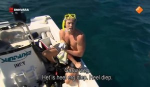 Un présentateur se fait mordre le bras par un requin en pleine émission