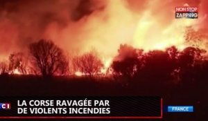 La Corse ravagée par des incendies spectaculaires (Vidéo)