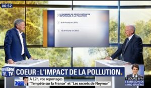 Quels sont les effets de la pollution sur la cœur ?