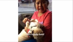 Cette fille est en pleurs en voyant la coupe de son nouveau chien