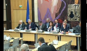 Commission des affaires économiques : Table ronde sur l'avenir de l'industrie du médicament en France - Mercredi 15 février 2017