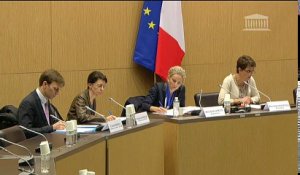 Offre automobile française : Mme Nathalie Homobono, DG de la DGCCRF - Mardi 5 avril 2016