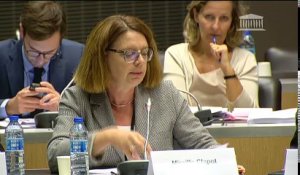 Commission des affaires étrangères : Mme Nathalie Loiseau, ministre des affaires européennes - Mardi 25 juillet 2017