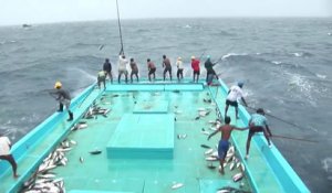 Pecher le thon à la technique des Maldives... Efficace