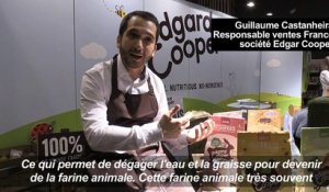 Salon de l'animal de compagnie 2018 ce week-end à Paris