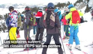 Chenilles, start-ups et ski : l'Hebdo Vidéo du 15 janvier !