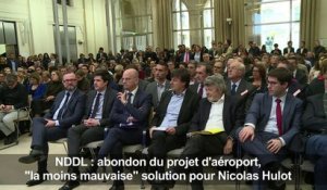 NDDL: "une décision d'appaisement" (Hulot)