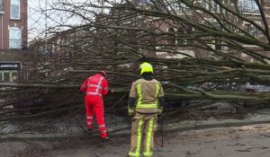 Tempête: 9 morts dans le nord de l'Europe