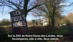 NDDL: sur la ZAD deux boulangeries côte à côte, deux statuts