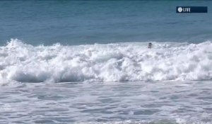 Adrénaline - Surf : La vague notée 7,47 de Michael Rodrigues vs. K. Asing