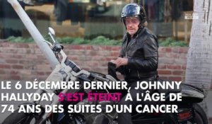 Johnny Hallyday : Guillaume Canet lui rend un bel hommage