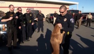 La police rend un dernier hommage à leur chien en phase terminale