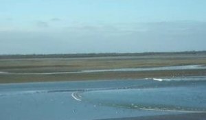 Première vague de la marée montante de la baie de somme