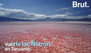 En Tanzanie, le lac Natron est menacé