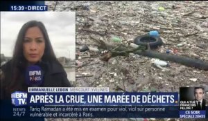 Crue de la Seine: 200 tonnes de déchets retenus dans les Yvelines