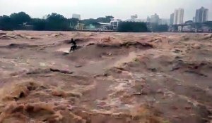 Surf dans une rivière en crue