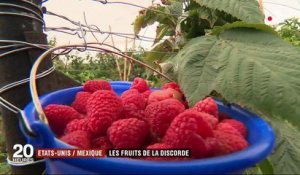 États-Unis : les fruits de la discorde