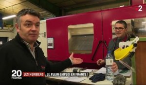 Les Herbiers (Vendée) : le plein emploi en France !