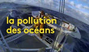 Environnement : "Le Manta", un bateau nettoyeur