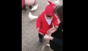 Ce bébé n'a pas peur des oiseaux... Tiens, mange petite colombe!