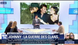 Affaire du testament de Johnny Hallyday: Sylvie Vartan s'est exprimée sur France 2 (2/2)