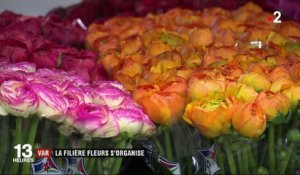 Var : la filière fleurs s'organise