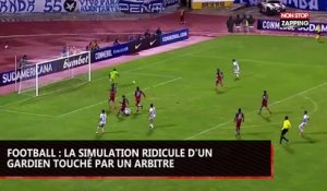 Football : la simulation ridicule d'un gardien touché par un arbitre (vidéo)
