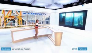 Brest : dans les coulisses d'Océanopolis, l'aquarium des océans
