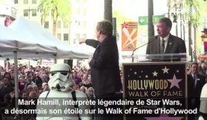 L'acteur de Star Wars Mark Hamill mis à l'honneur à Hollywood
